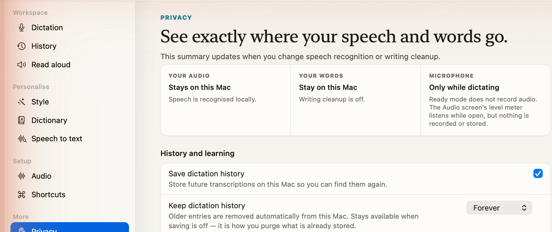 Zansay Privacy screen explaining where audio and text are processed and when the microphone listens